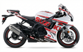 Suzuki GSX-R600 Graphics Kit