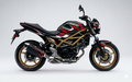 Suzuki SV650 Graphics Kit