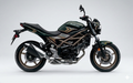 Suzuki SV650 Graphics Kit