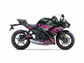 Kawasaki Ninja 650 Graphics Kit