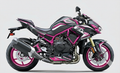 Kawasaki Z H2 Graphics Kit