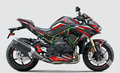 Kawasaki Z H2 Graphics Kit
