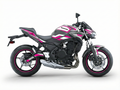 Kawasaki Z650 Graphics Kit