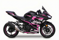 Kawasaki Ninja 400 Graphics Kit